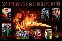 Mule Run 2018